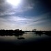 Tom Thompson Photo 19