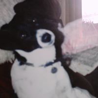 George Cartwright Photo 8