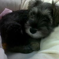 Marie Sharpe Photo 7