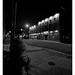 John Terranova Photo 16