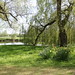 Margaret Hall Photo 14