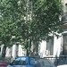 Fred Cantor Photo 15