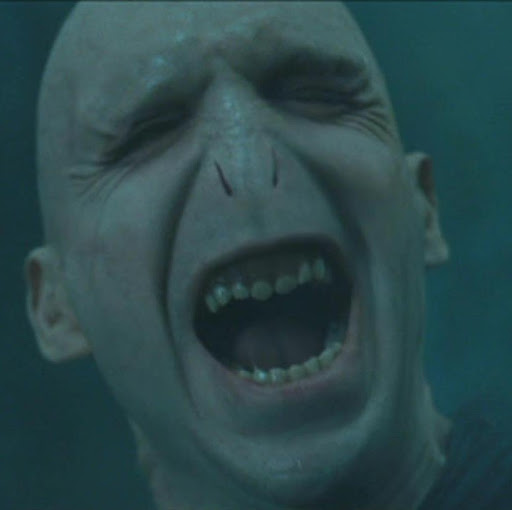 Tom Riddle Photo 27