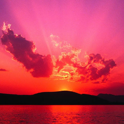 Salma Basha Photo 14