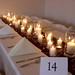 Joe Conner Photo 13