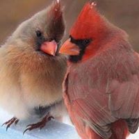 Susan Gauthier Photo 29