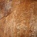 Chrystal Walls Photo 8