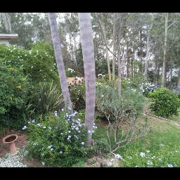 Judy Horton Photo 37