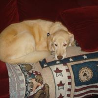 Kathleen Byrd Photo 26