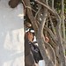 Debbie Clemente Photo 12