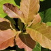 Jane Platt Photo 21