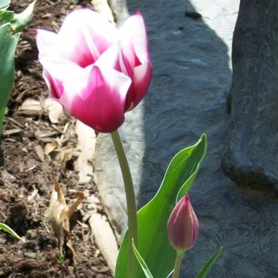Beth Skinner Photo 36
