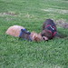 Heather Beasley Photo 14