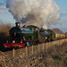 Bruce Rood Photo 8