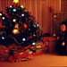 Roger Rutter Photo 11