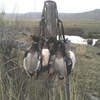 David Hocker Photo 26