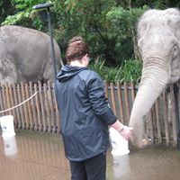 Heather Hoppe Photo 10