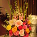 Shelly Gardner Photo 30