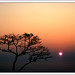 Hoang Dao Photo 23