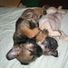 Nancy Borders Photo 17