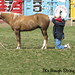 Keith Pendleton Photo 21