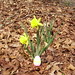Janet Hatch Photo 11