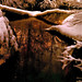 Yi Ching Photo 19