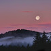 Dawn Collins Photo 14