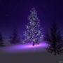 Thomas Dean Photo 44