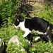 Jason Jaggers Photo 9