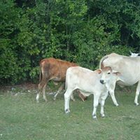 Teresa Dowd Photo 10