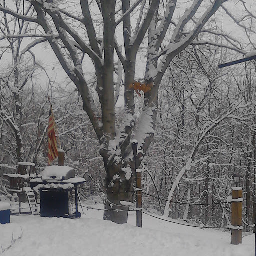 Susan Capps Photo 30