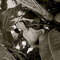 Marie Lanham Photo 4