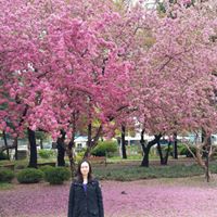 Janice Law Photo 27