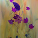 Gretchen Jones Photo 40
