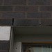 Stephen Bates Photo 36