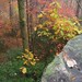 Virginia Mashburn Photo 11