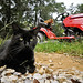 Frank Mower Photo 10
