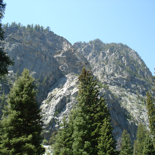 Earl Lang Photo 10