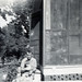 Dawn Moore Photo 45