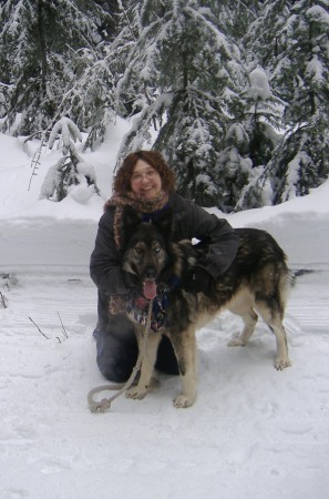 Colleen Harrison Photo 7