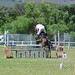 Ellen Gill Photo 24