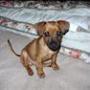 Judy Stubbs Photo 22