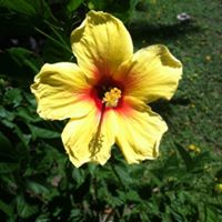 Deborah Hardy Photo 19