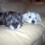 Colleen Atkins Photo 15