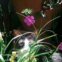 Loretta Howell Photo 37