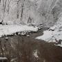 James Nester Photo 24