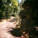 Robert Veit Photo 10