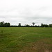 Lorraine Hedges Photo 11
