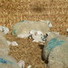 Bryan Lamb Photo 17